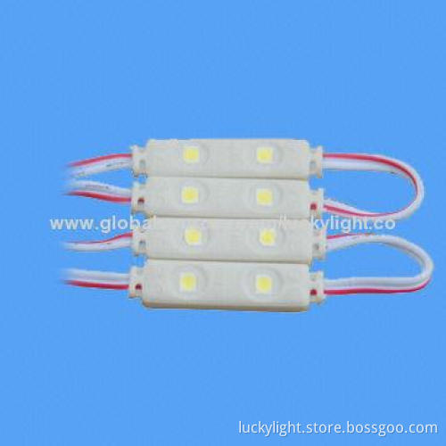 RGB PVC Waterproof Injection LED Module with Two 3528 SMD, High Brightness and Large Angle